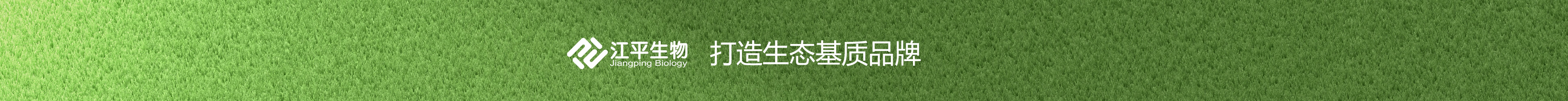 5accbbafbc6e2