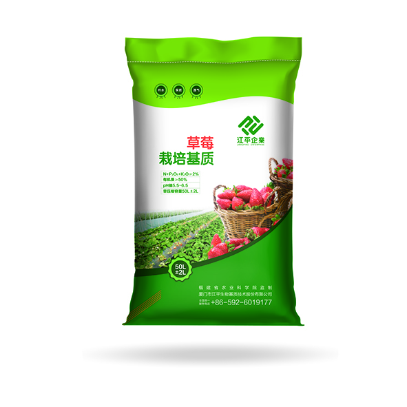 首页| 888集团电子游戏官方网站