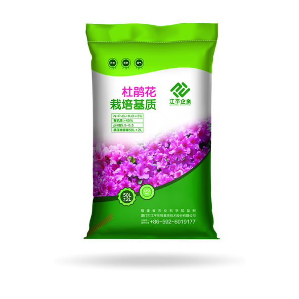 首页| 888集团电子游戏官方网站