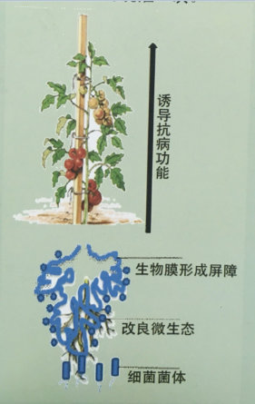 5af140ccd4a70