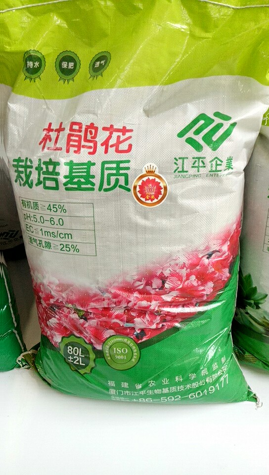 首页| 888集团电子游戏官方网站