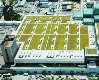 首页| 888集团电子游戏官方网站