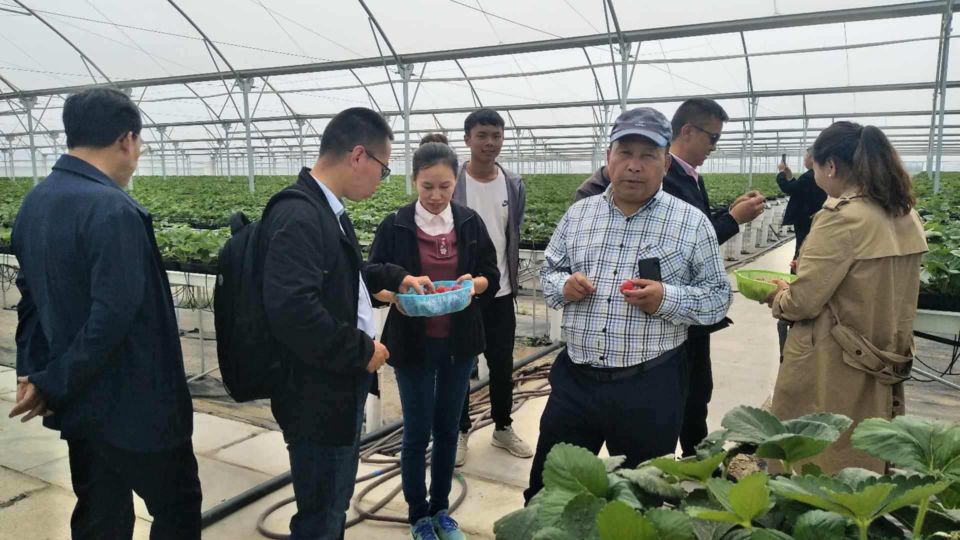 首页| 888集团电子游戏官方网站
