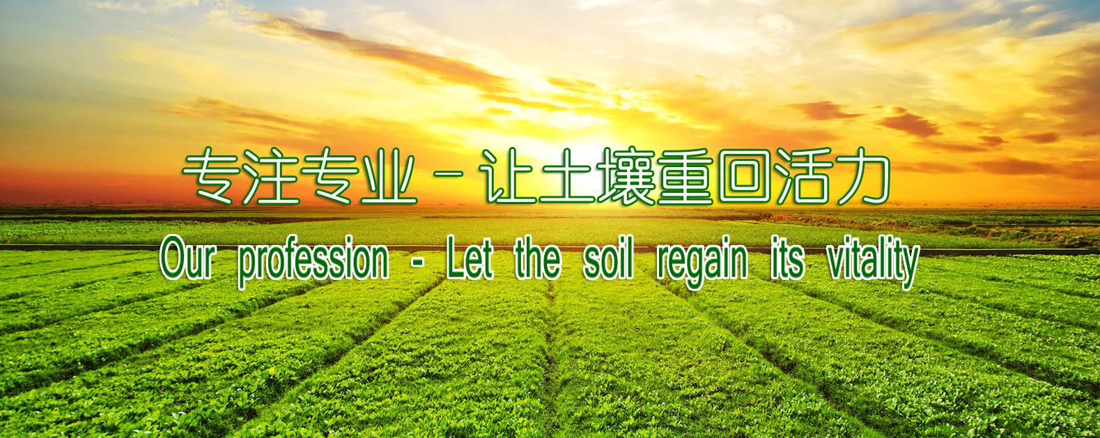 首页| 888集团电子游戏官方网站