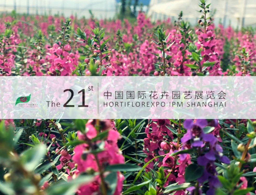 首页| 888集团电子游戏官方网站