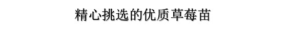 5d1c5dd649c46 5d1c5dd649c46