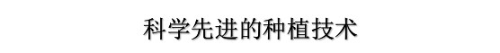 5d1c5ddb73007 5d1c5ddb73007