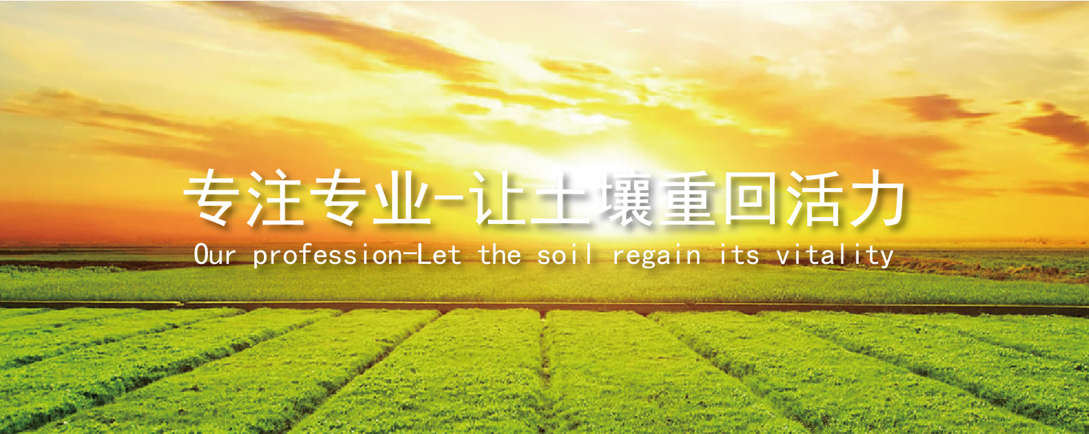 首页| 888集团电子游戏官方网站