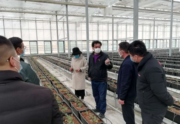 首页| 888集团电子游戏官方网站