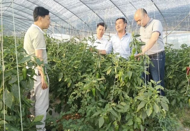 首页| 888集团电子游戏官方网站