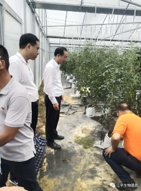 首页| 888集团电子游戏官方网站