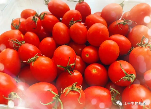 5f6adf0d7c5ea.png 图片.png