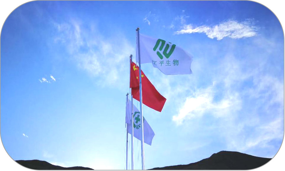 首页| 888集团电子游戏官方网站