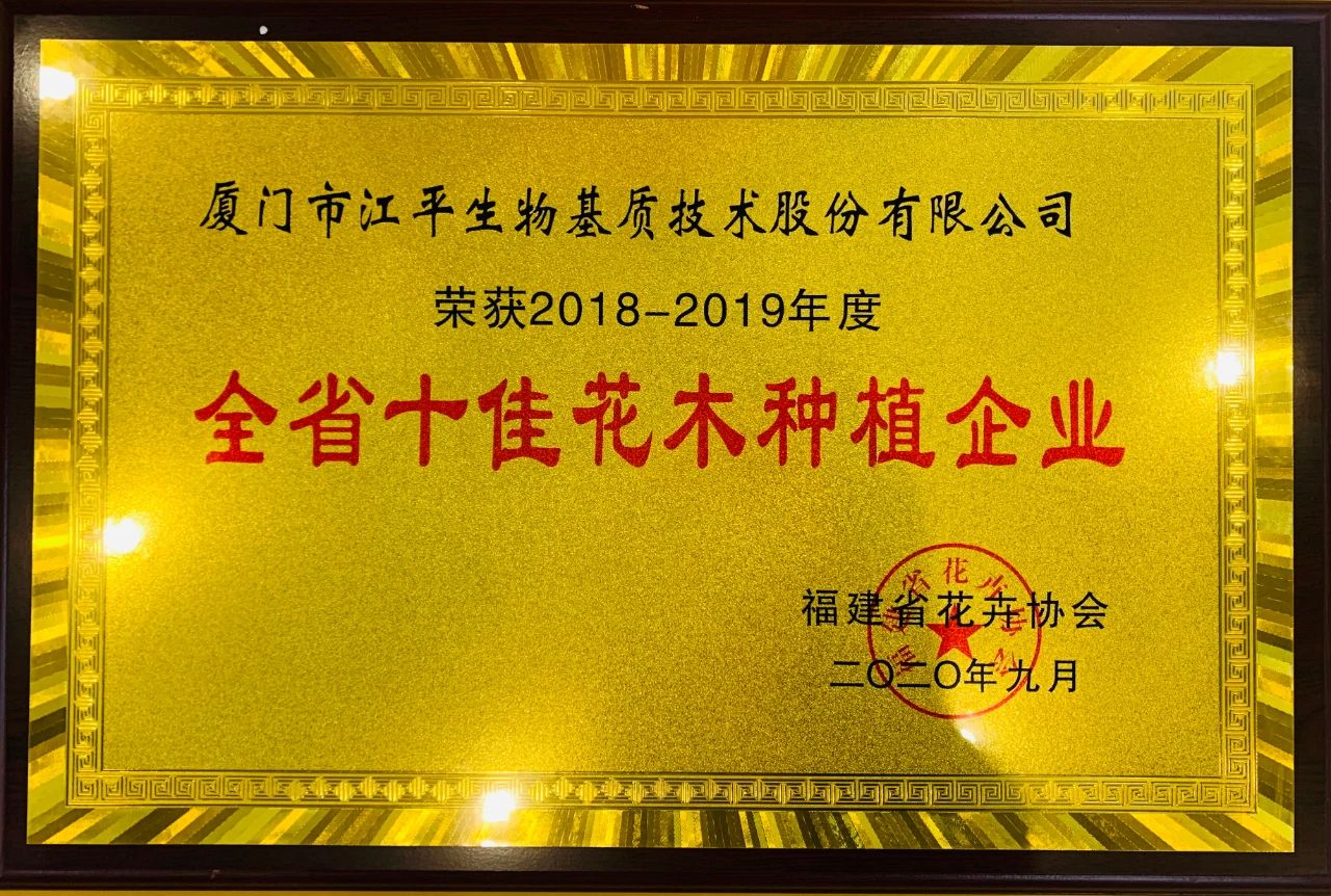 首页| 888集团电子游戏官方网站