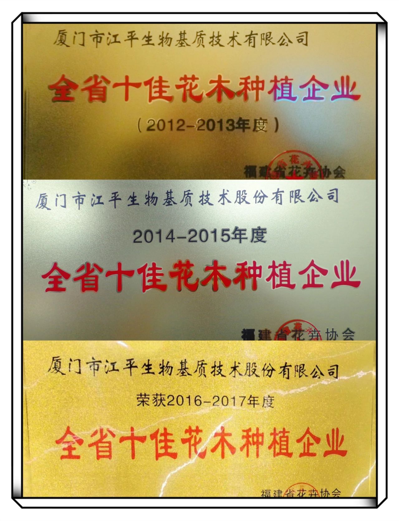 首页| 888集团电子游戏官方网站