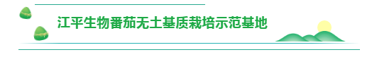 首页| 888集团电子游戏官方网站
