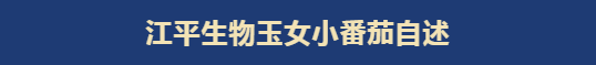 首页| 888集团电子游戏官方网站