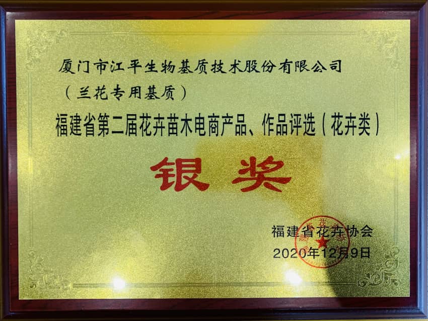 首页| 888集团电子游戏官方网站
