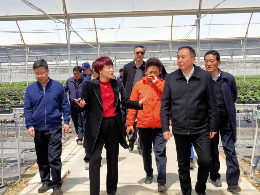 首页| 888集团电子游戏官方网站