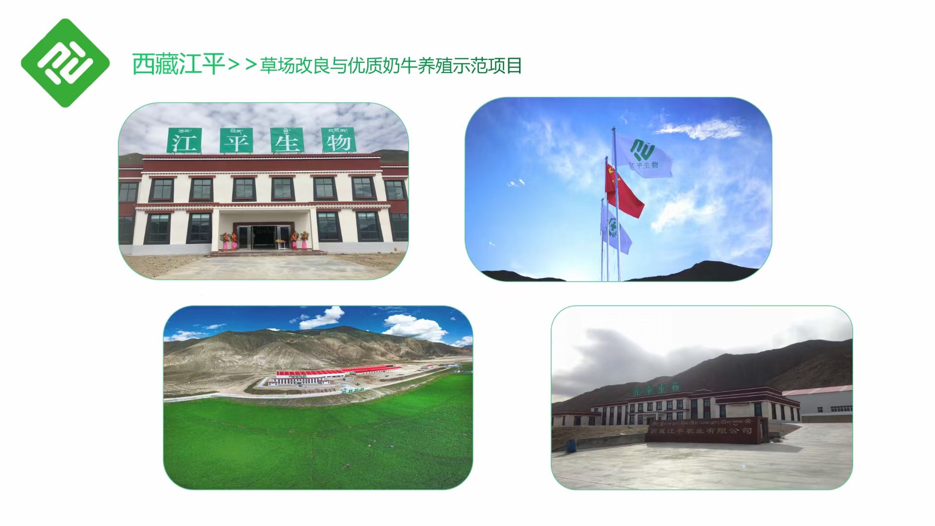 首页| 888集团电子游戏官方网站