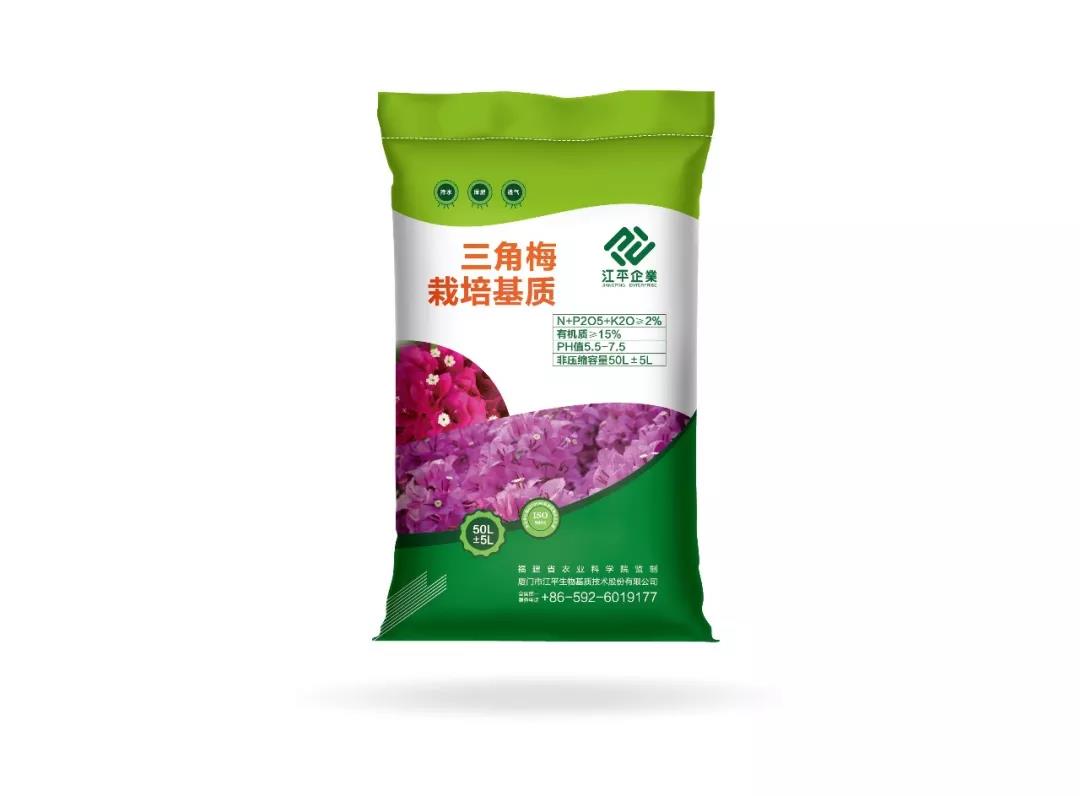 首页| 888集团电子游戏官方网站