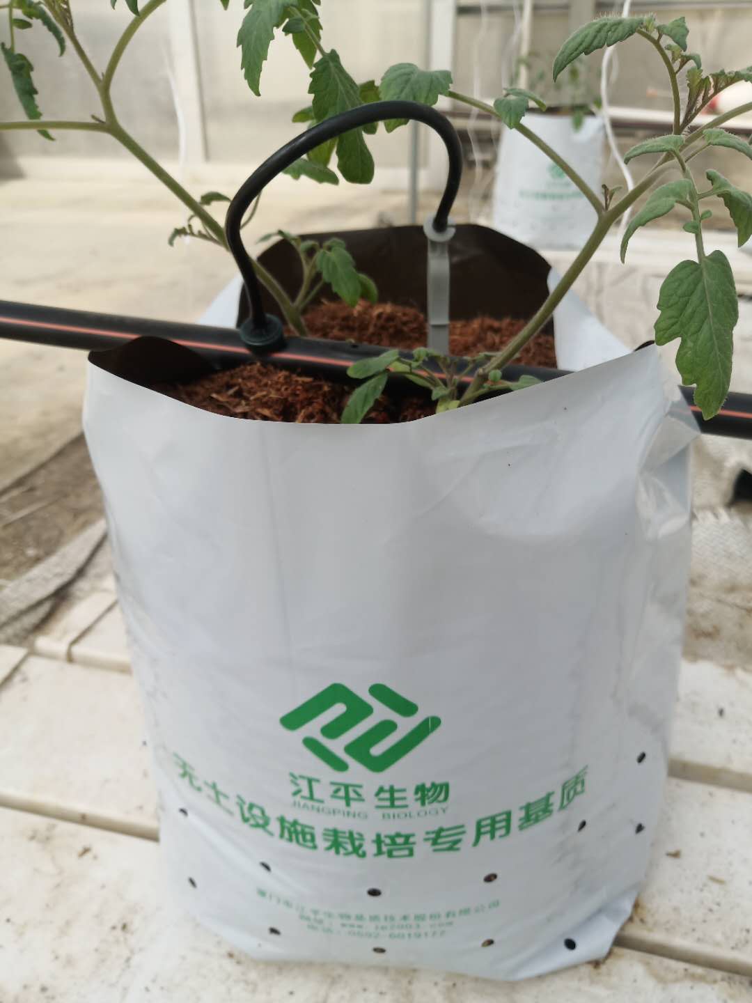 首页| 888集团电子游戏官方网站