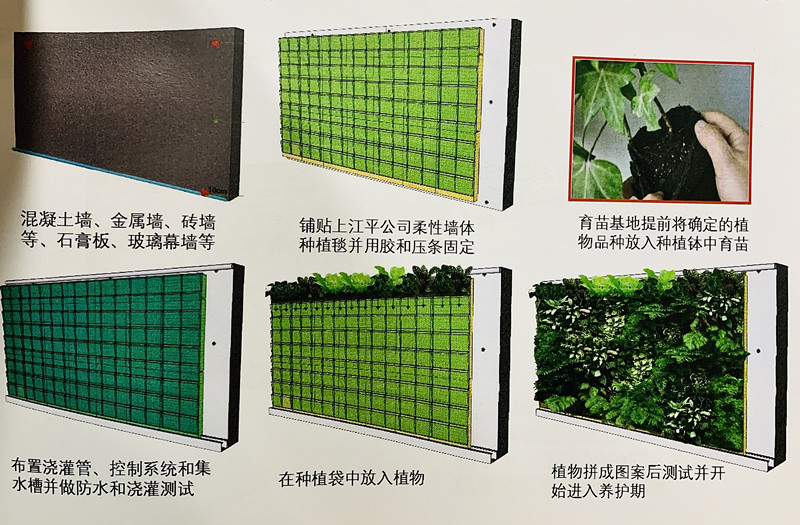 61259a62376a7
