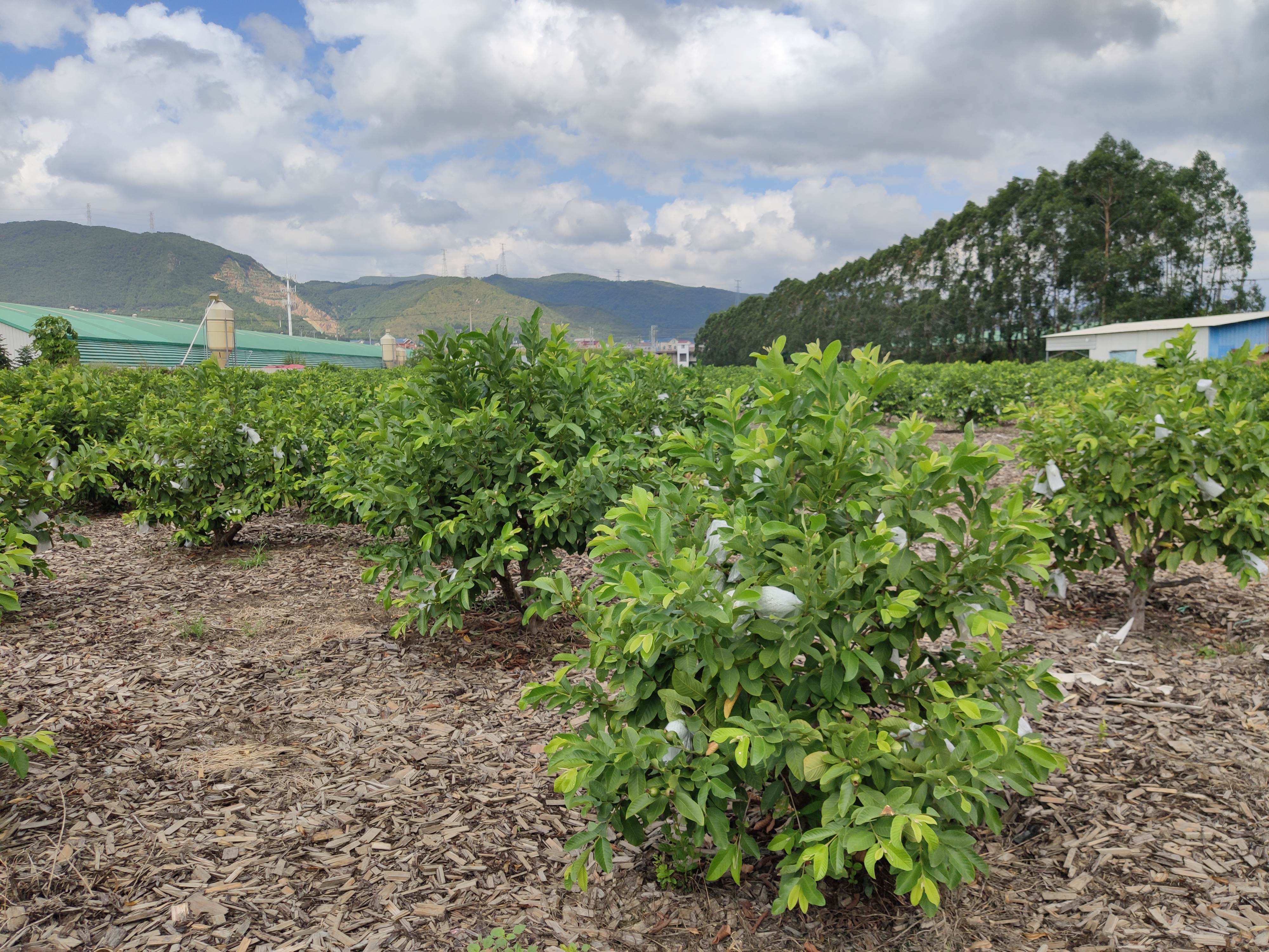 首页| 888集团电子游戏官方网站