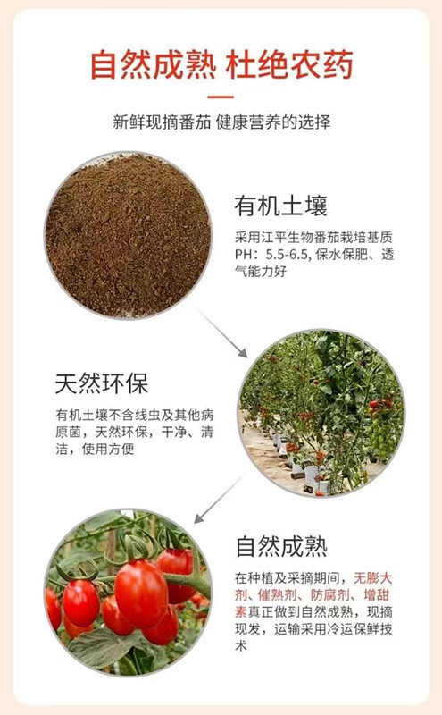 首页| 888集团电子游戏官方网站