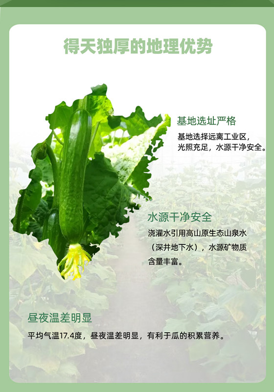 首页| 888集团电子游戏官方网站