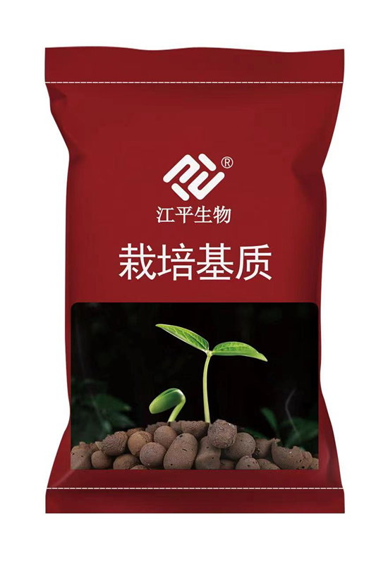 首页| 888集团电子游戏官方网站