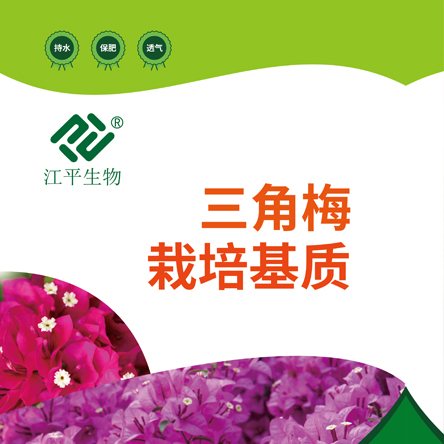首页| 888集团电子游戏官方网站