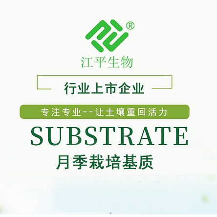 首页| 888集团电子游戏官方网站