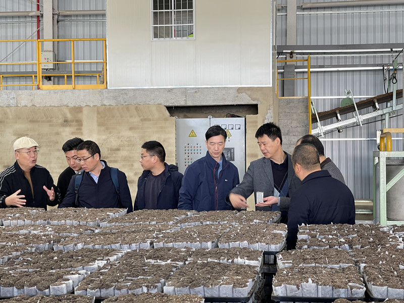 63ef2ffae8048