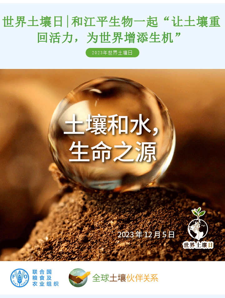 首页| 888集团电子游戏官方网站