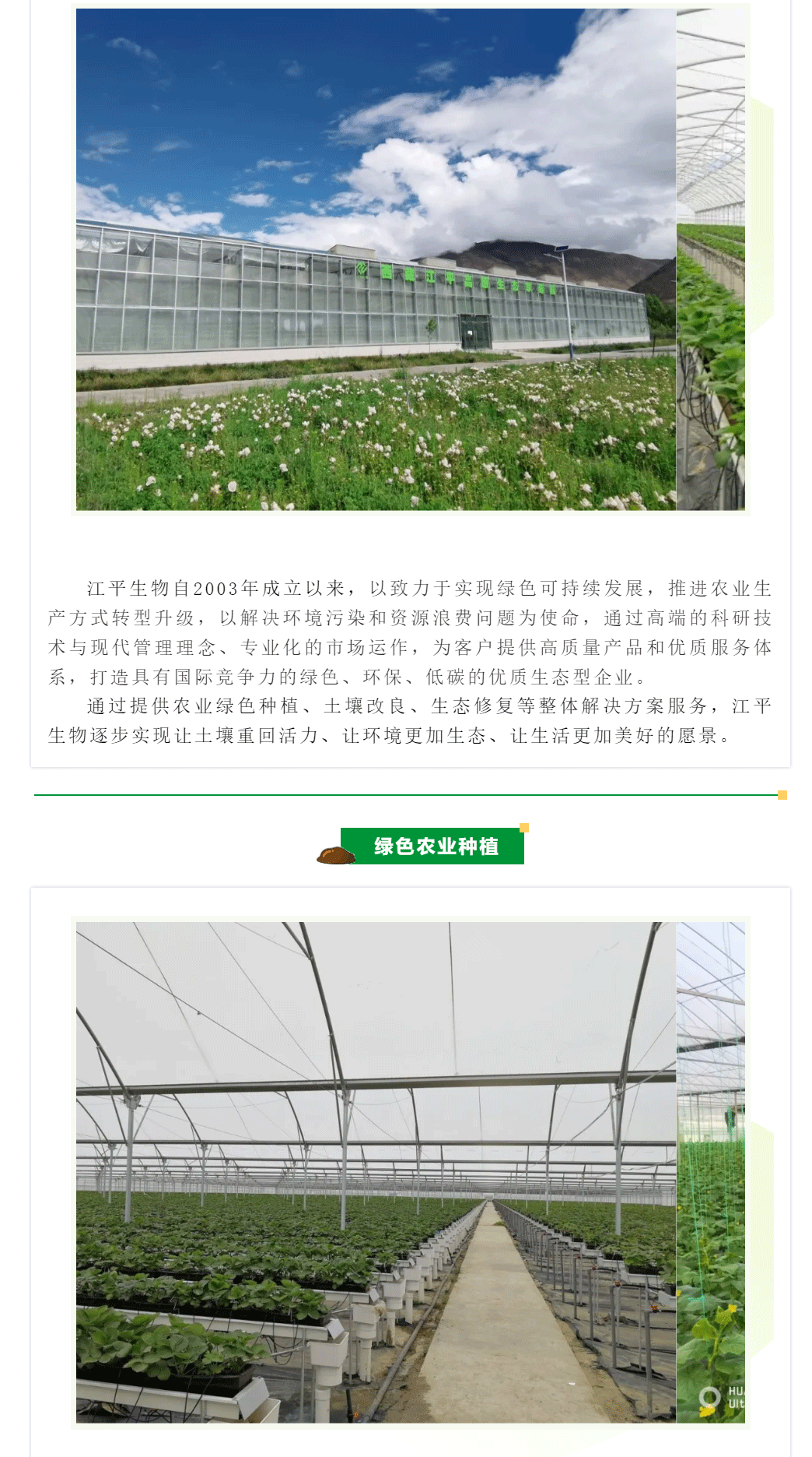6673cde949c3a.gif